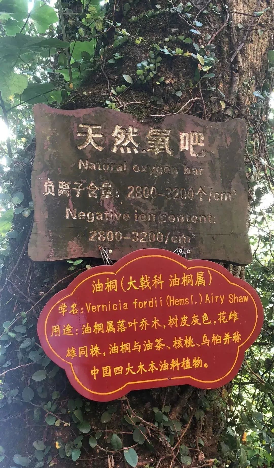 負(fù)離子對身體系統(tǒng)的影響3.jpg 負(fù)離子對身體系統(tǒng)的影響3.jpg